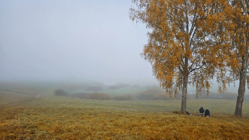Photo 2924219