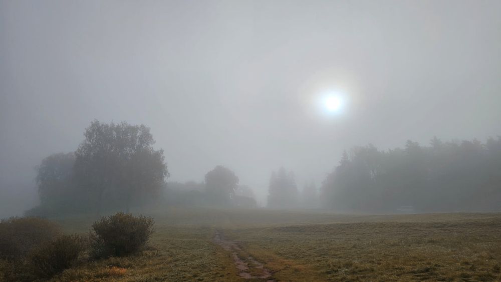 Photo 2924220