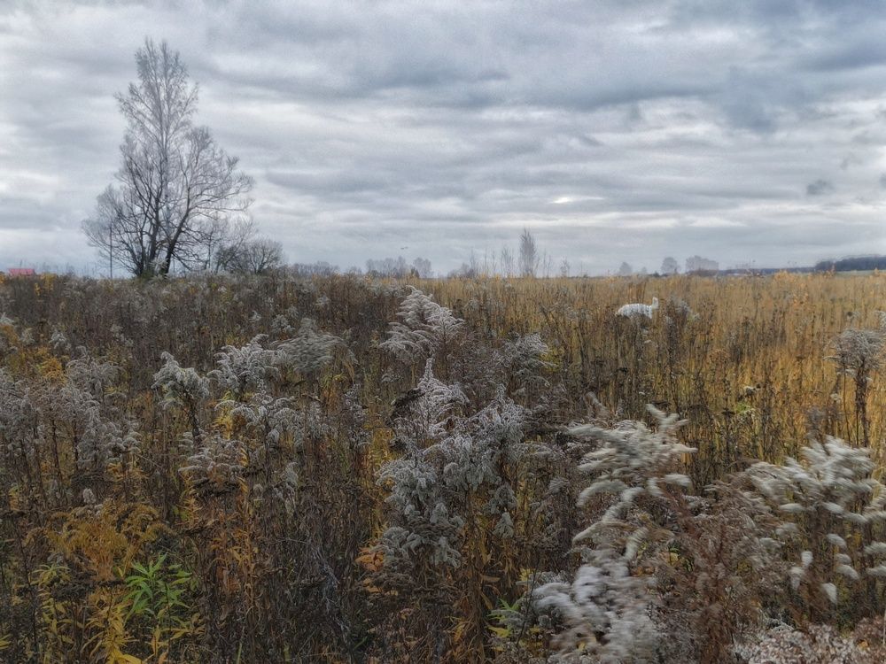Photo 2924538