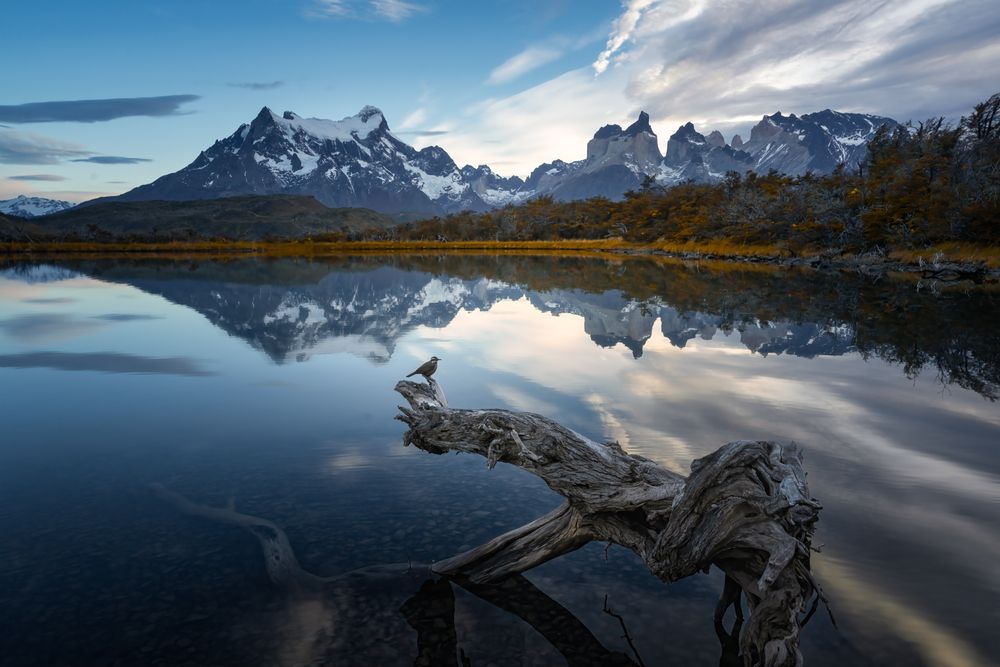 Landscape shot from Yongnan Li