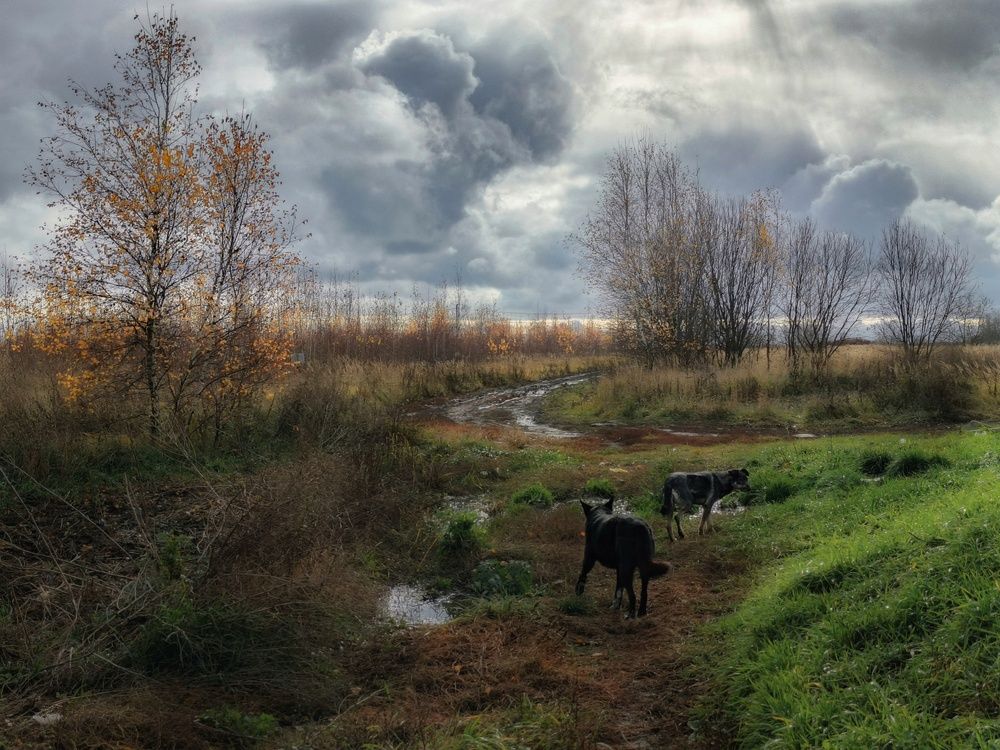 Photo 2925014