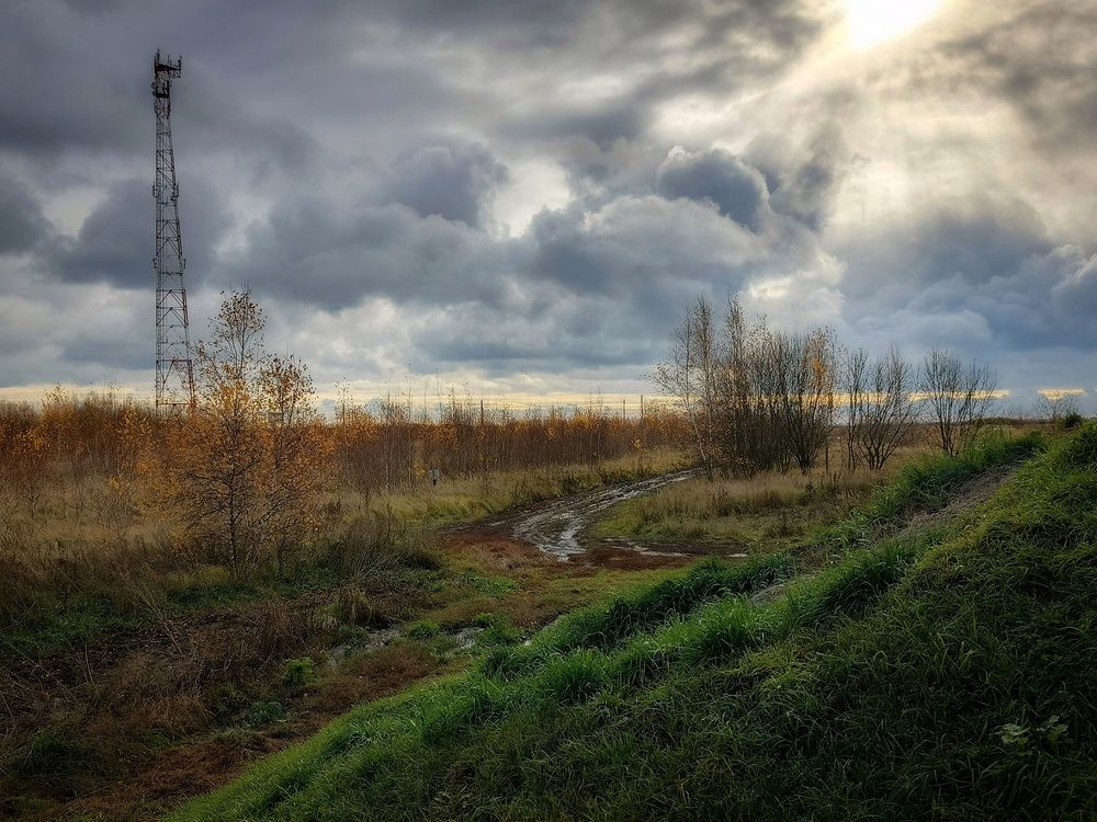 Photo 2925015
