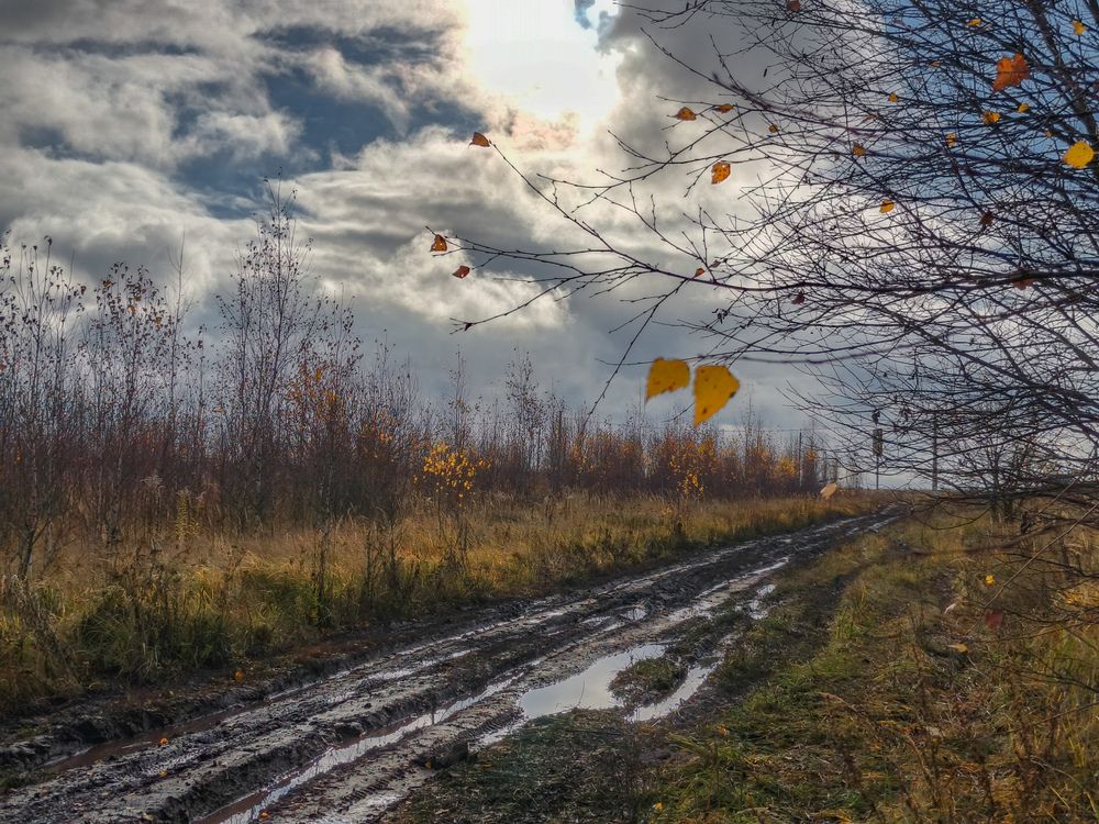 Photo 2925016
