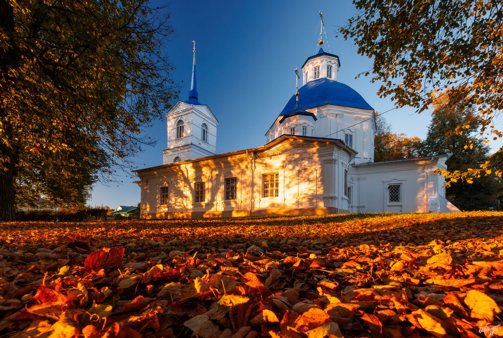 Церковь Рождества Пресвятой Богородицы в Велегоже