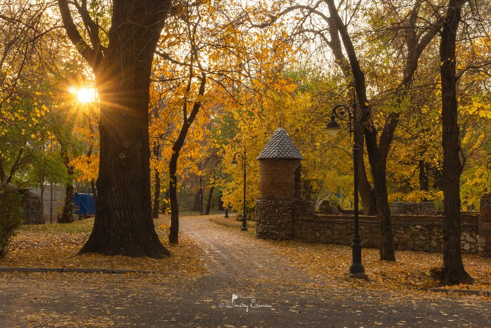Осенние зарисовки...