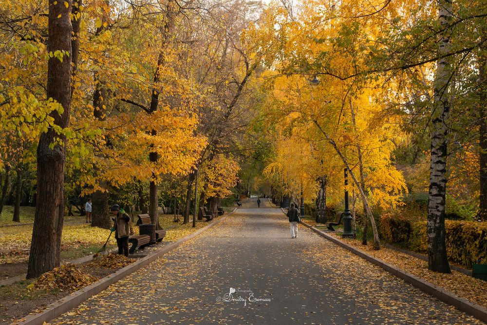 Осенние зарисовки...