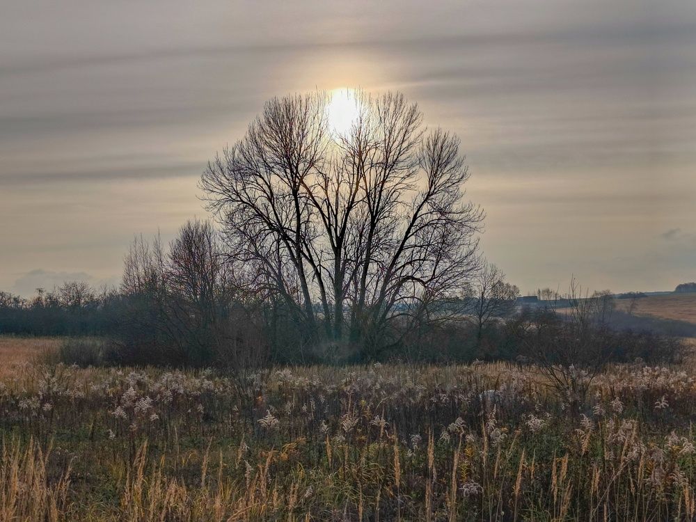 Photo 2925999