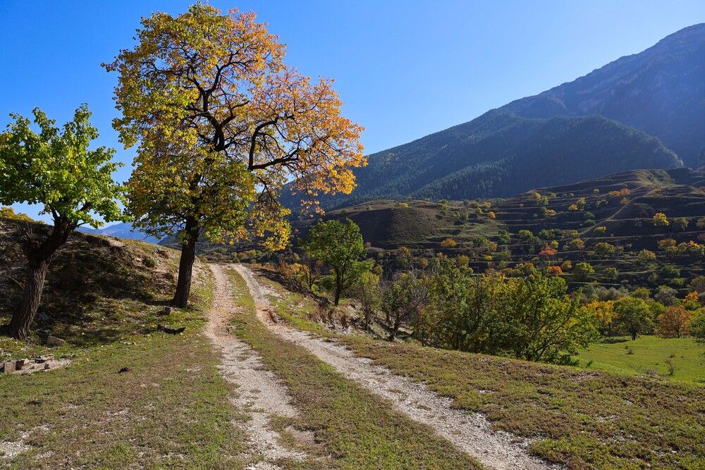 Осенние зарисовки..