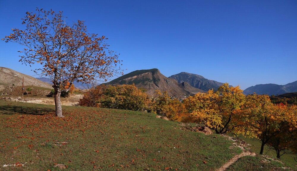 Осенние зарисовки..