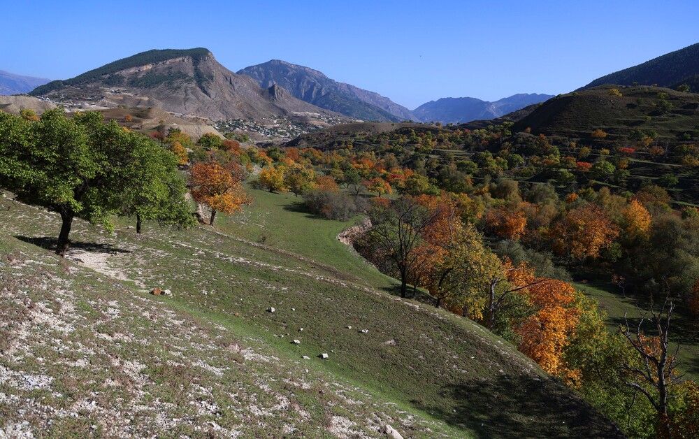Осенние зарисовки..