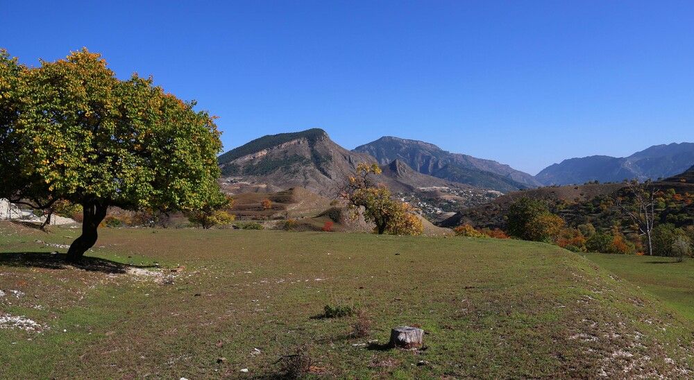 Осенние зарисовки..