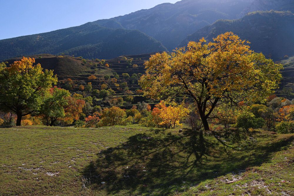 Осенние зарисовки..