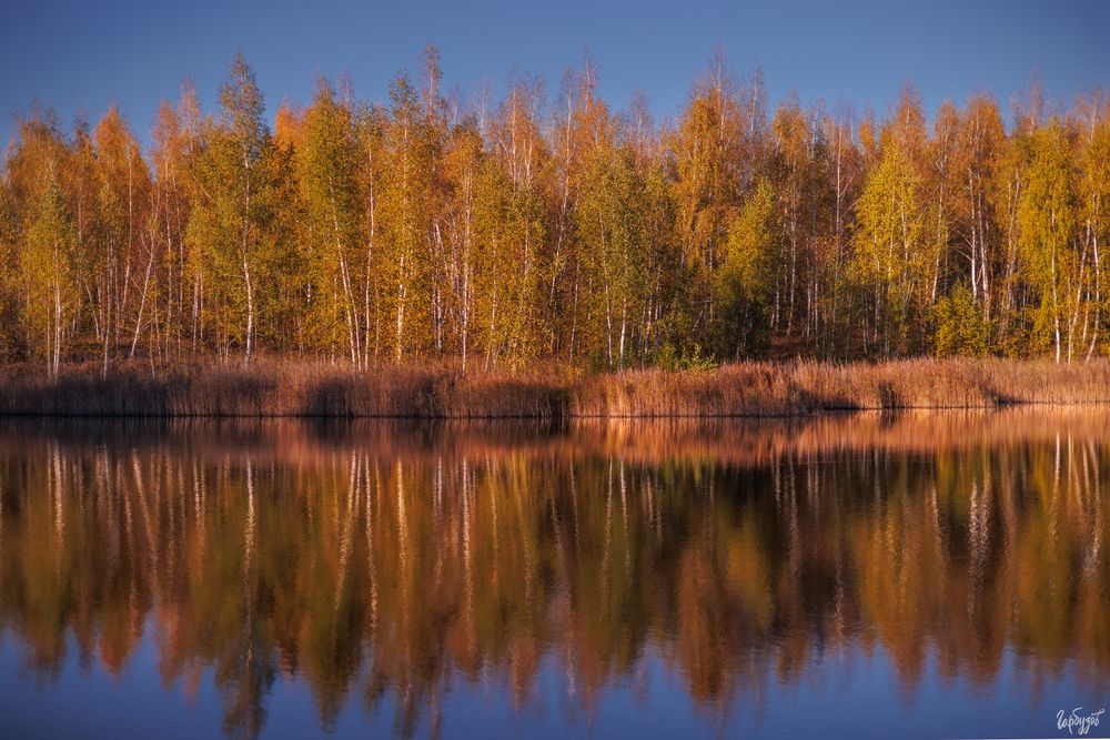 Карьеры Люторичей. Тульская область.