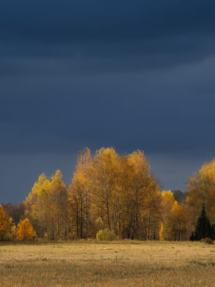 НЕоткрыточная осень