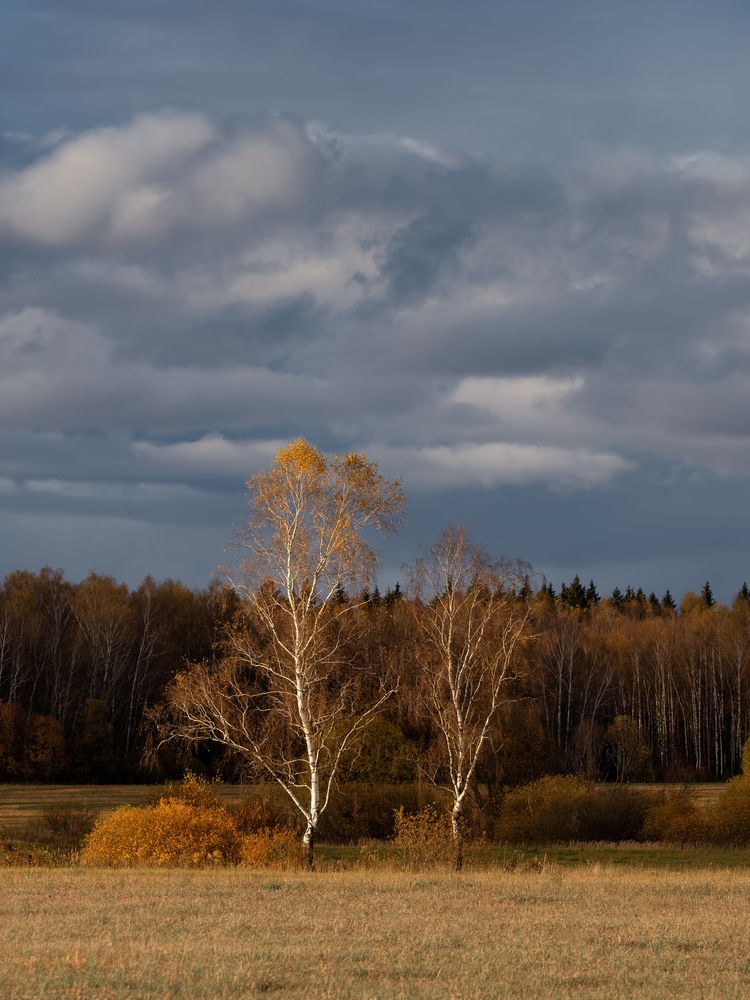 НЕоткрыточная осень