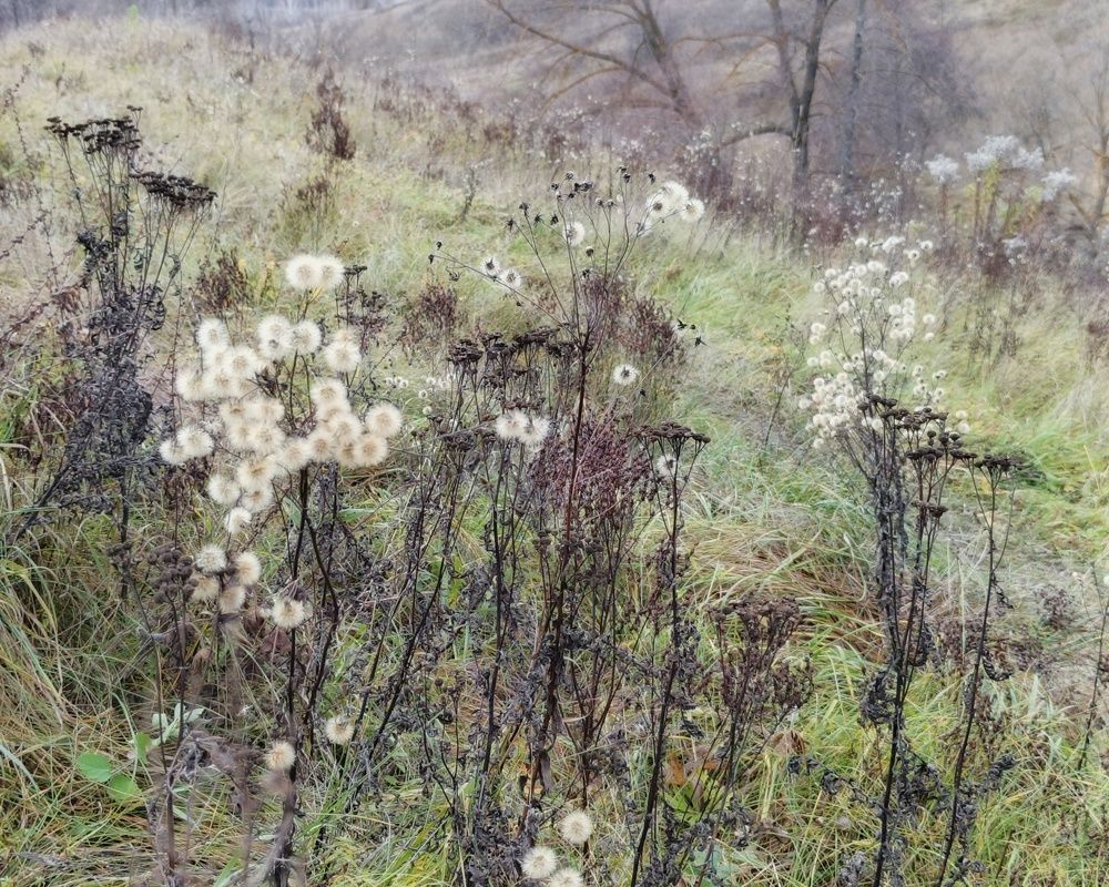 Photo 2927350