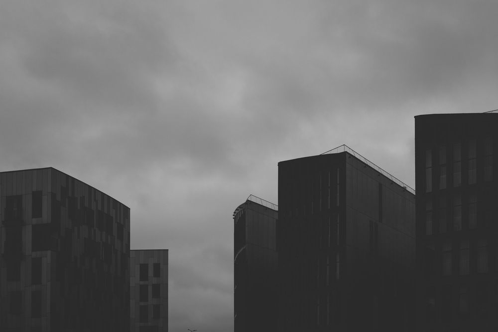 Photo 2927559