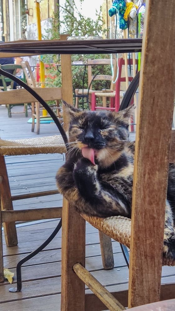 Никосия, Кипр