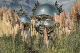 Парк Галицкого (парк Краснодар)