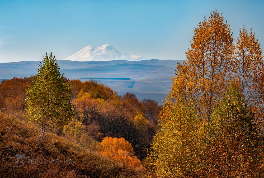 Кисловодский парк