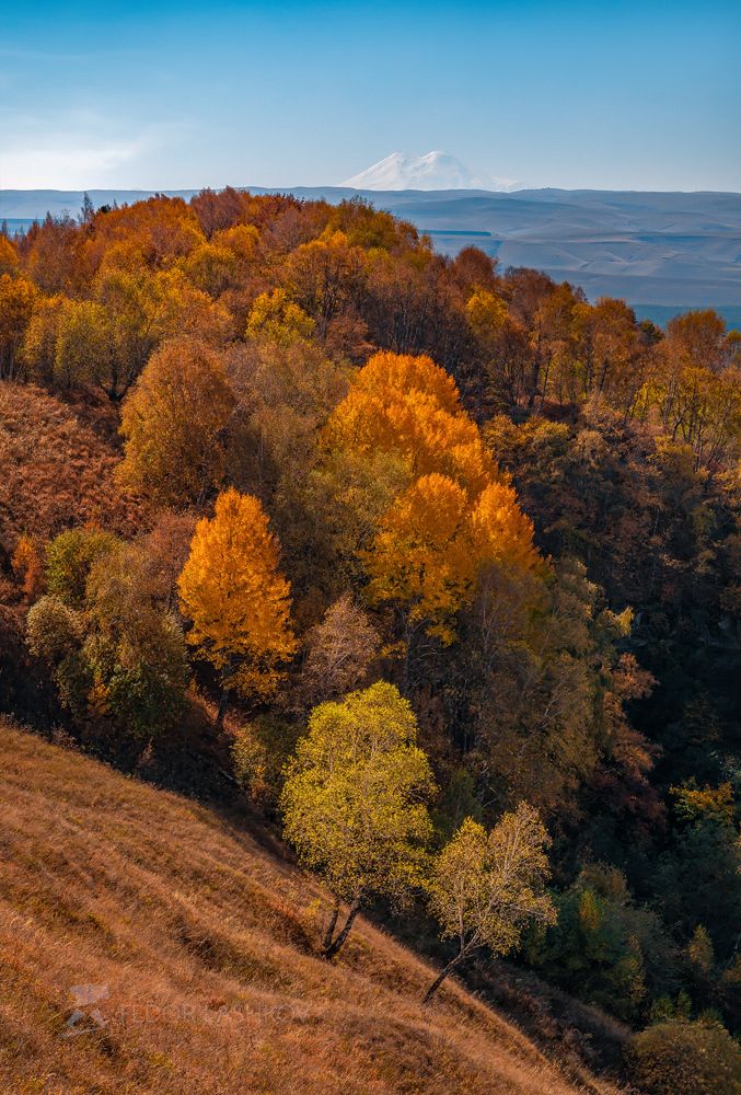 Кисловодский парк