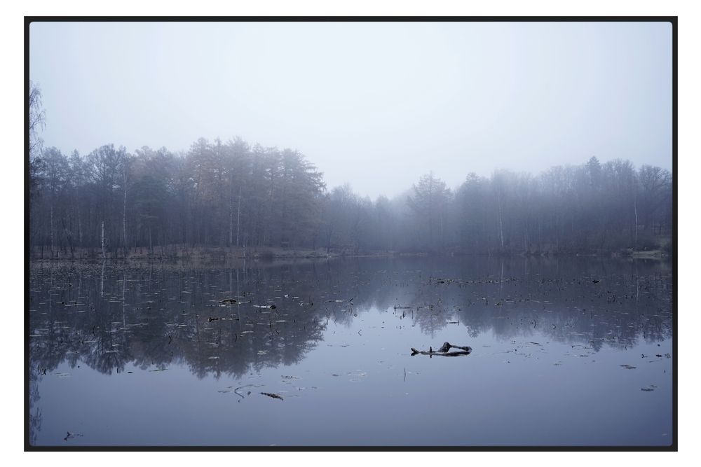 Photo 2928270