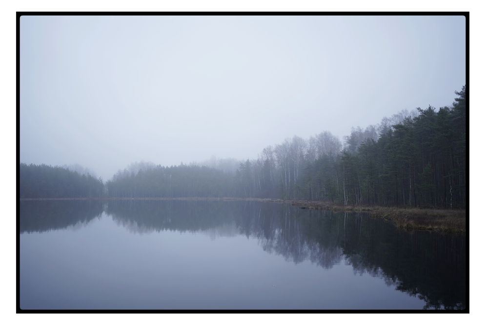 Photo 2928271