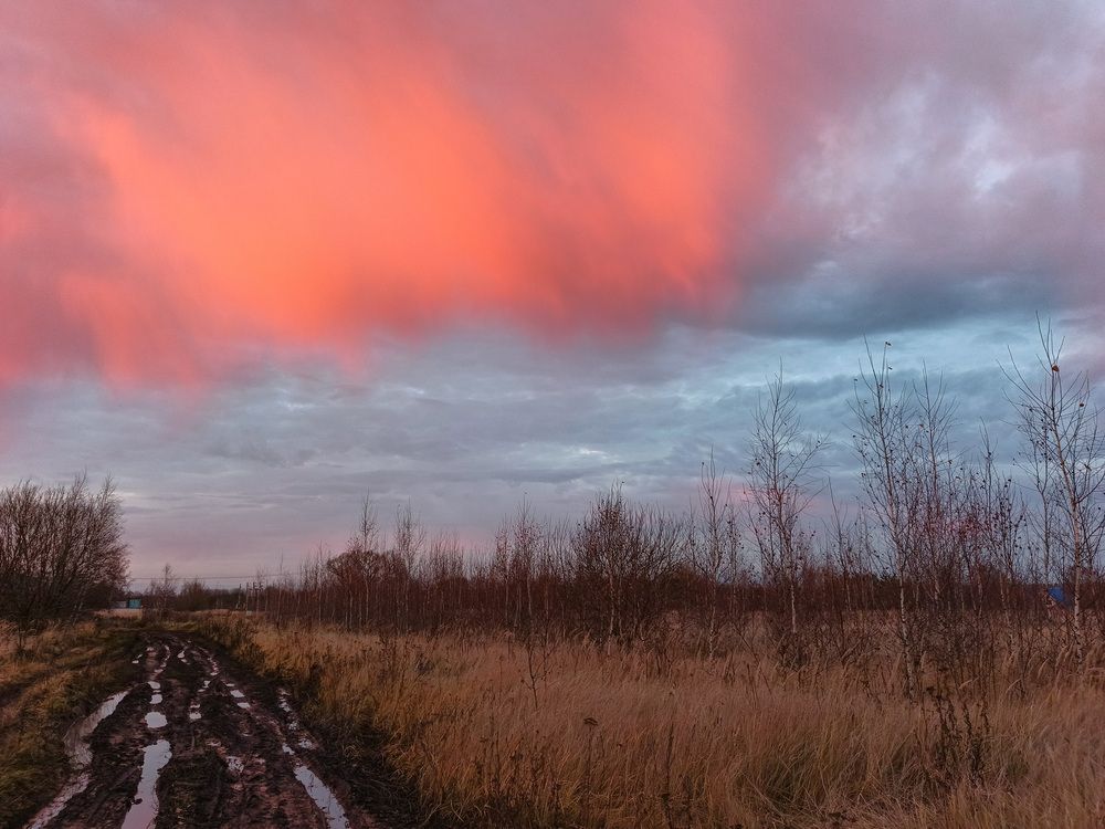 Photo 2928524