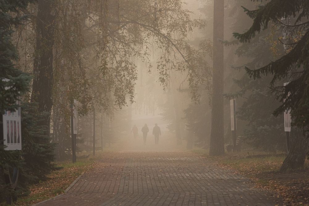 История одного утра
