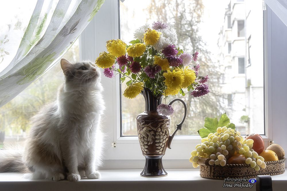 Королева снизошла до фотосессии