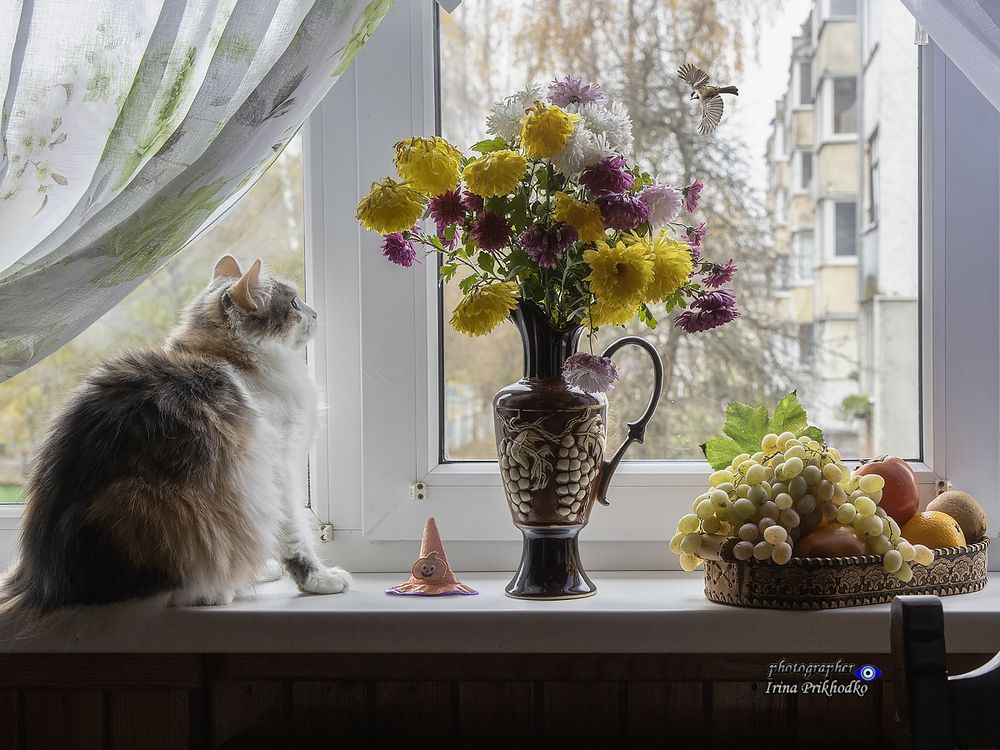 Королева снизошла до фотосессии