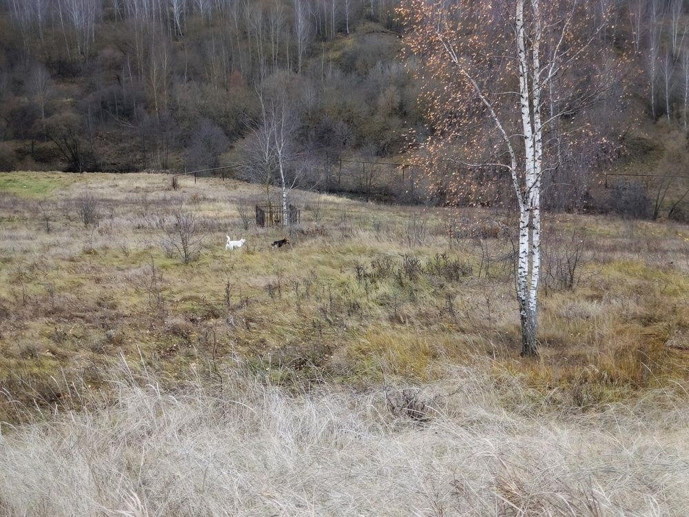 Photo 2929042