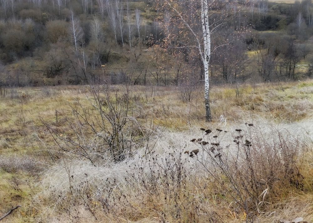 Photo 2929043