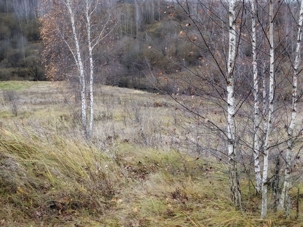 Photo 2929044