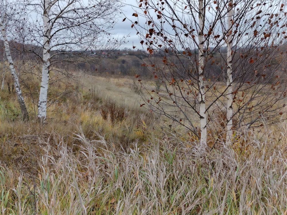 Photo 2929045