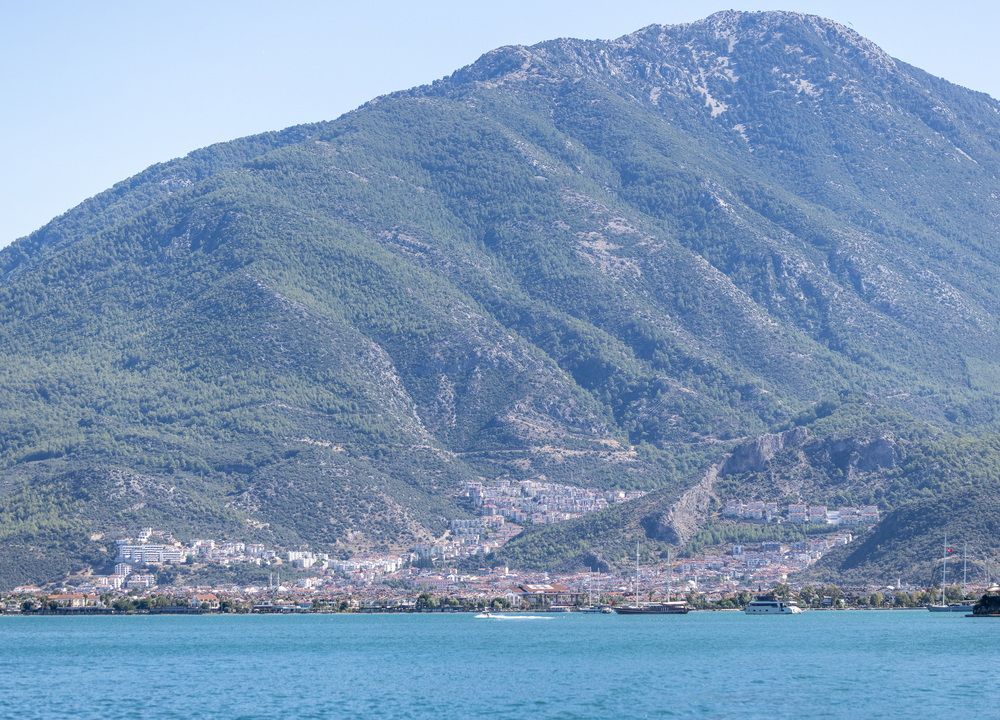 Регата