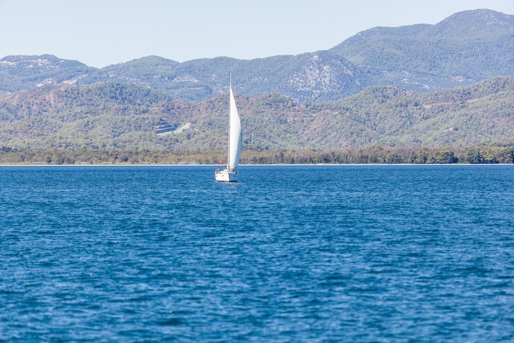 Регата