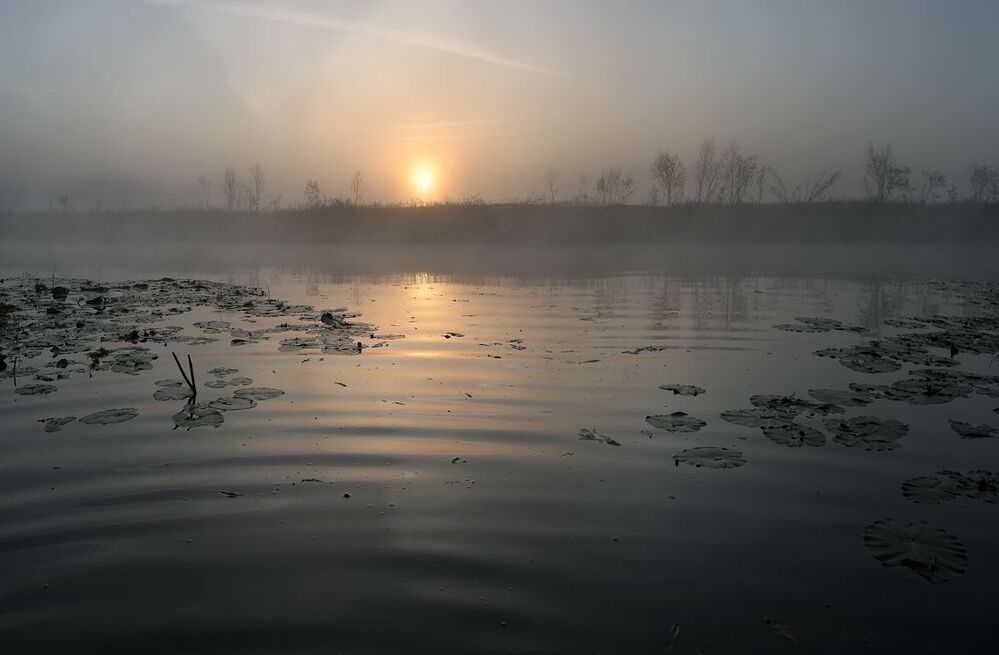 Sunrise story