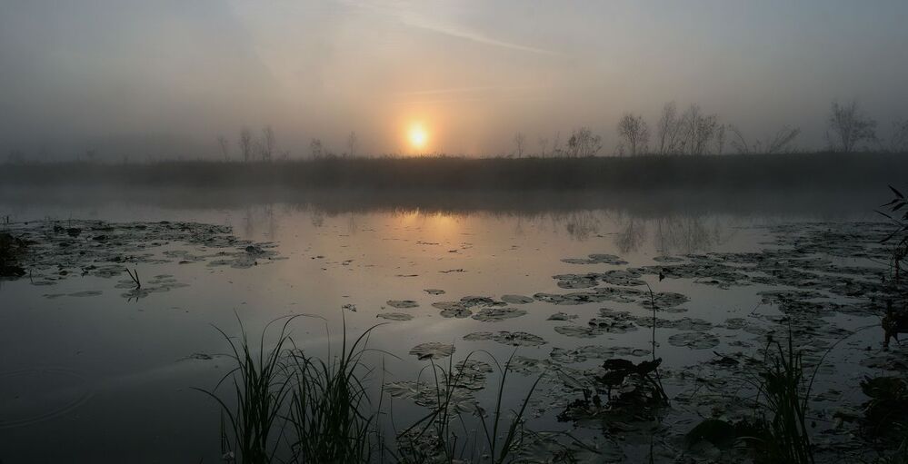Sunrise story