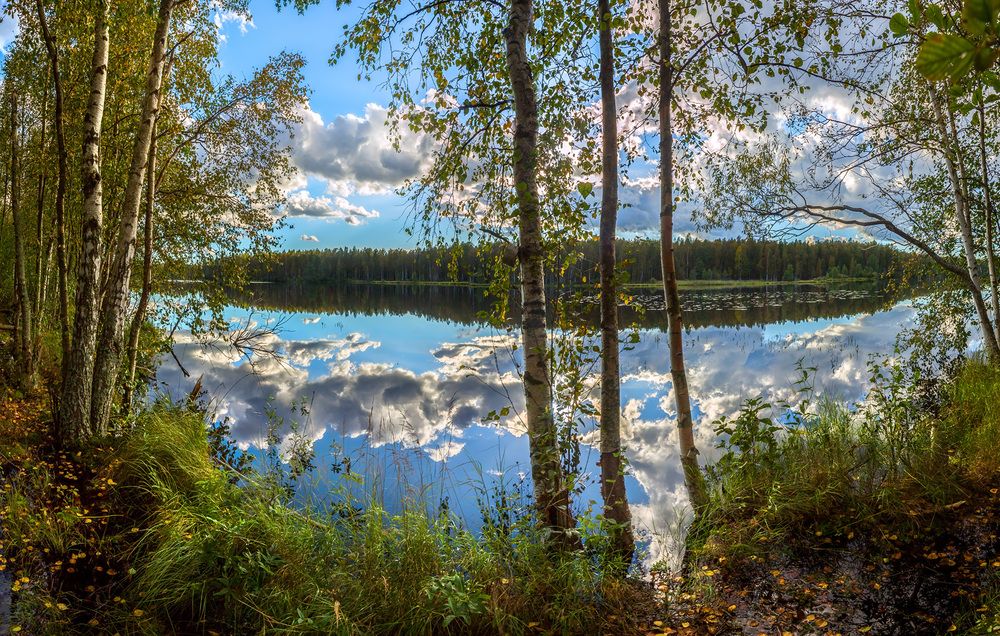 Пейзажные картины