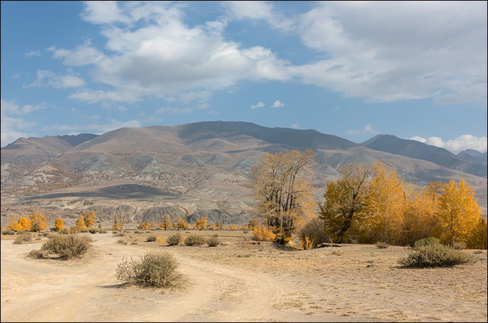 Осень на берегу Чаганузуна