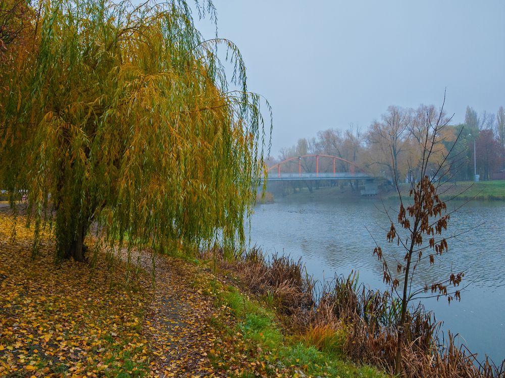 Белгород