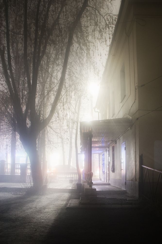 Photo 2931056