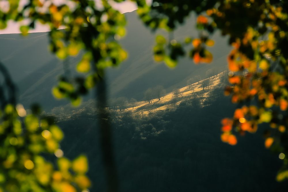 Kazbegi 2019