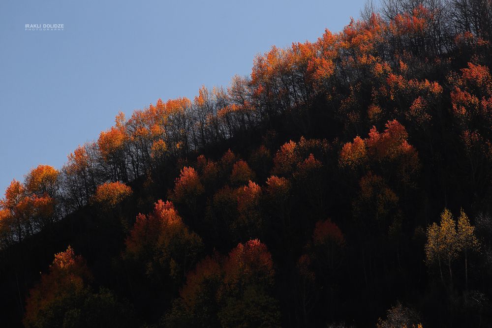 Kazbegi 2019