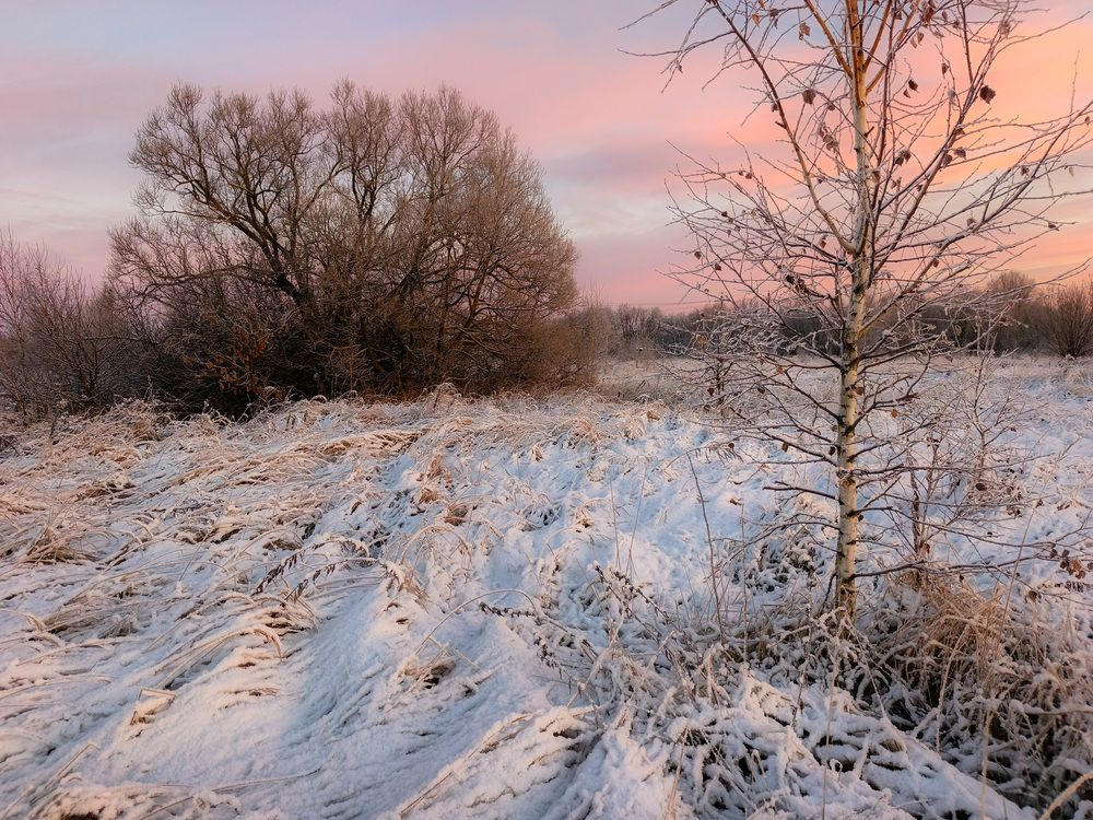 Photo 2931905