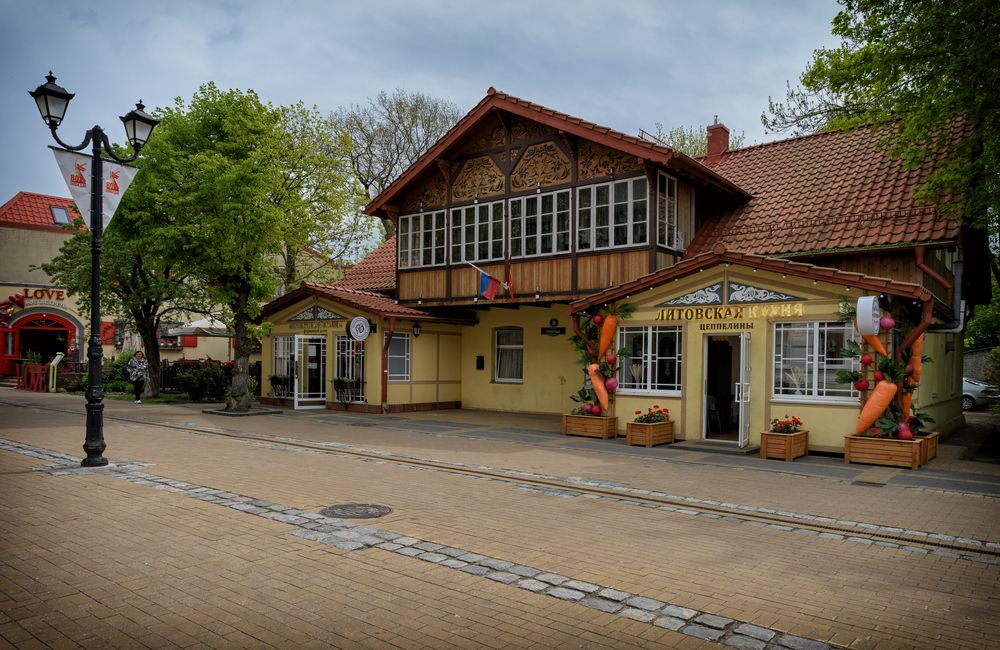 Зеленоградск - город кошек