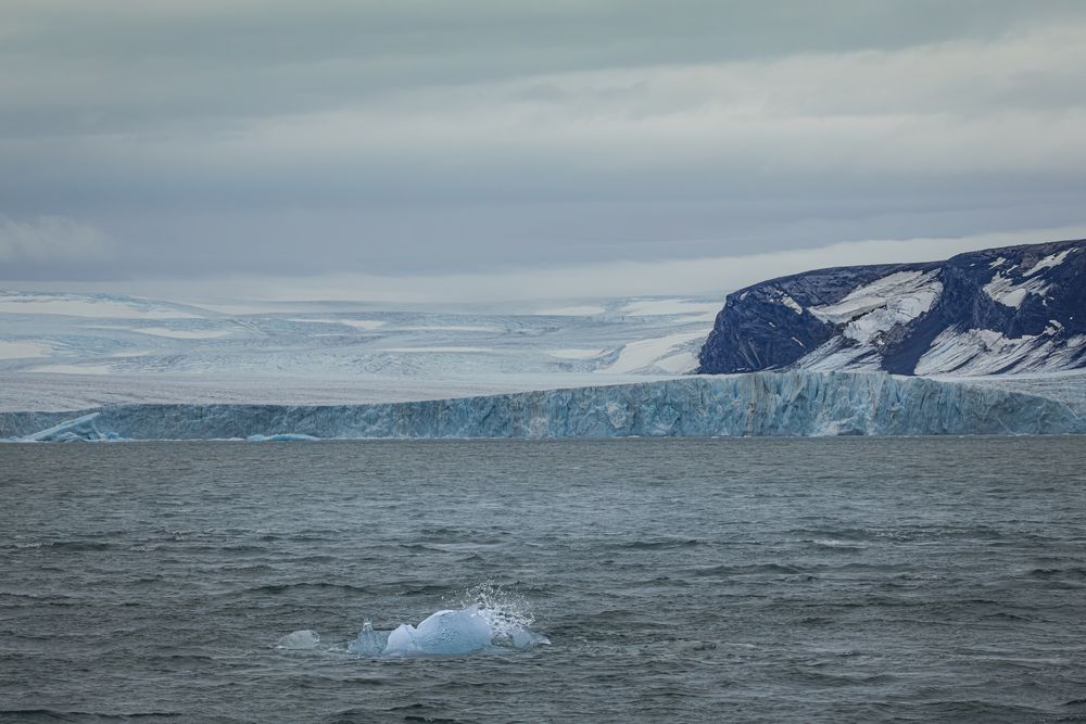 Вдоль берегов Новой Земли