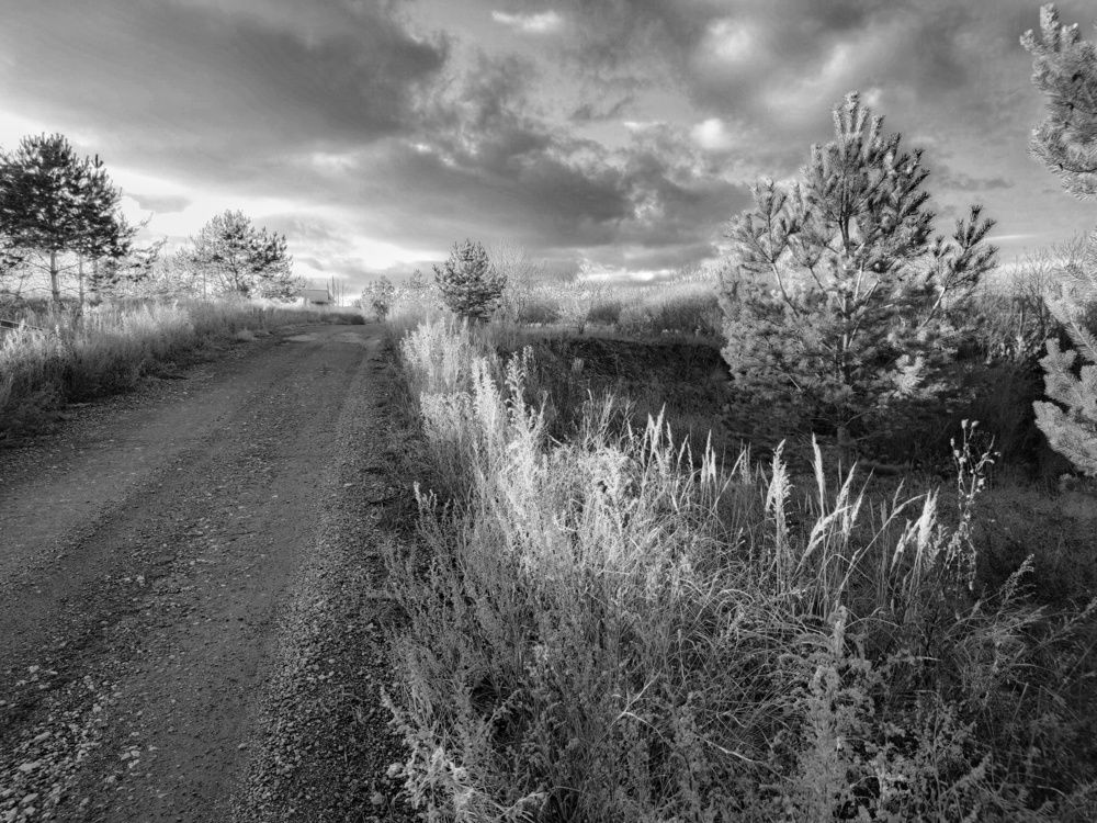 Photo 2933140