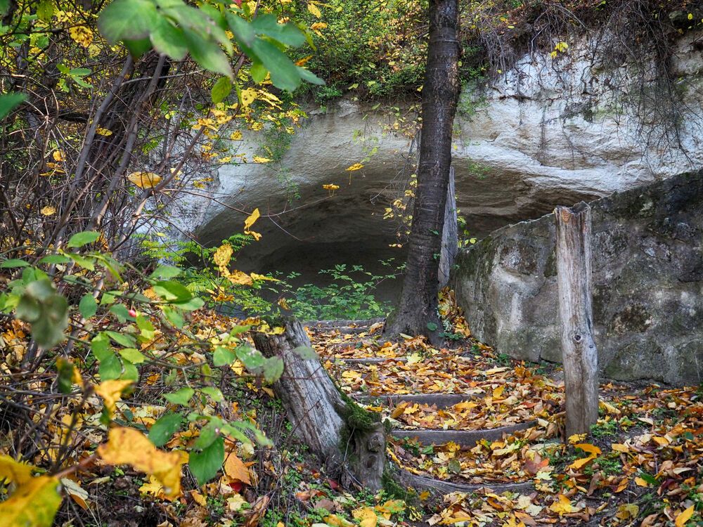 Autumn mix